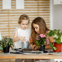 16-Piece Mini Gardening & Transplanting Tool Set